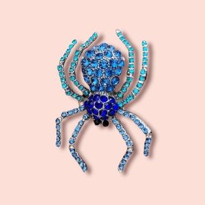 Spider brooch jewelry